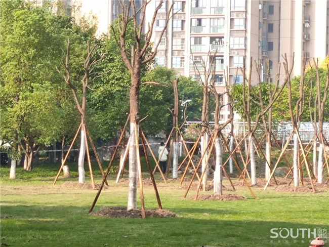 球客岛-专业足球角逐直播实时足球比分数据分析平台