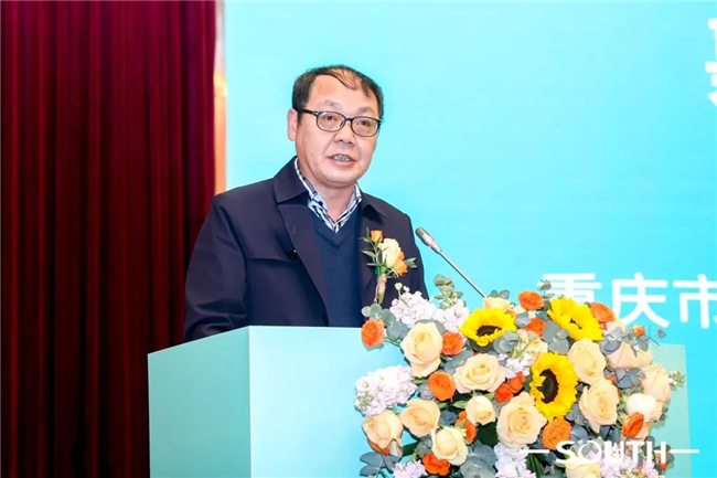 球客岛-专业足球角逐直播实时足球比分数据分析平台