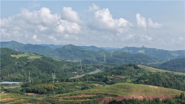 球客岛-专业足球角逐直播实时足球比分数据分析平台