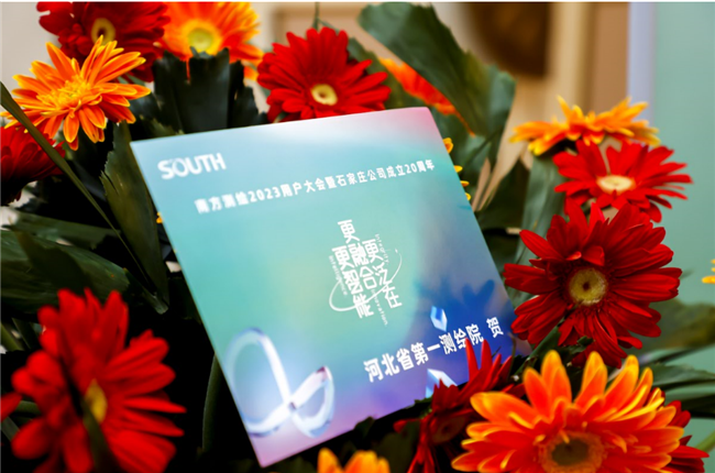 球客岛-专业足球角逐直播实时足球比分数据分析平台