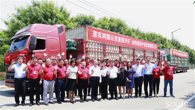 球客岛-专业足球角逐直播实时足球比分数据分析平台