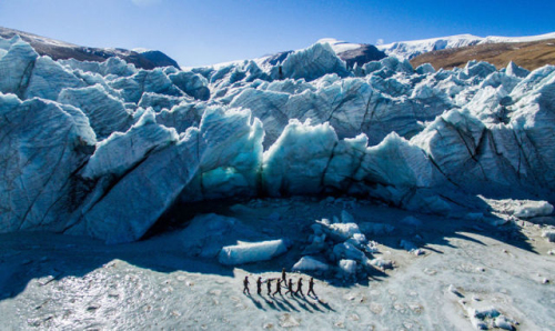 球客岛-专业足球角逐直播实时足球比分数据分析平台