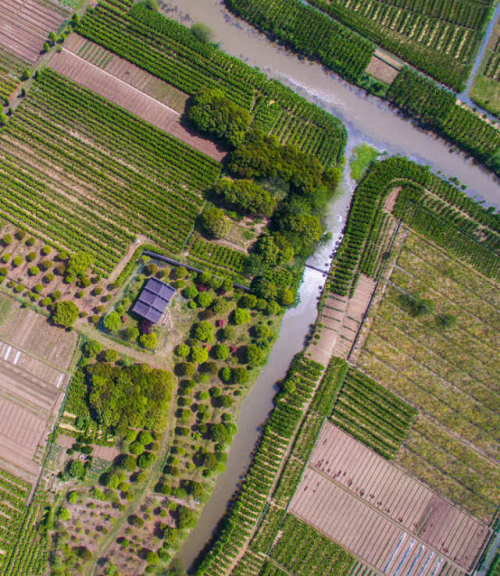 球客岛-专业足球角逐直播实时足球比分数据分析平台