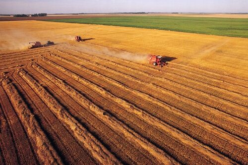 球客岛-专业足球角逐直播实时足球比分数据分析平台